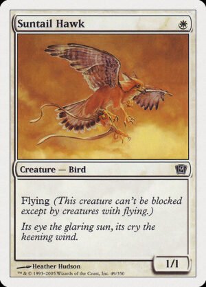 Suntail Hawk<br /><span class="collector-number">Collector No. 49</span>